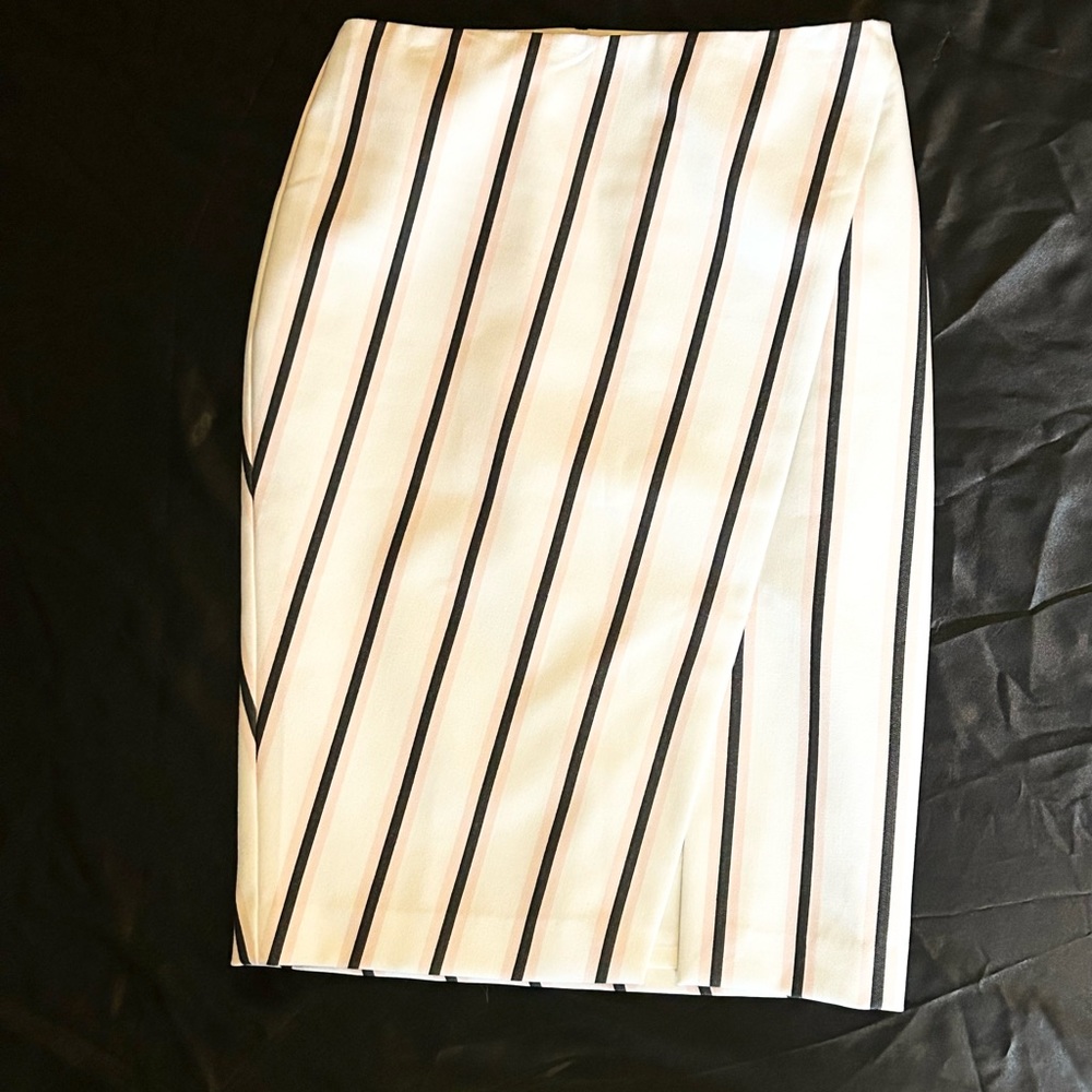 Striped Pencil Skirt